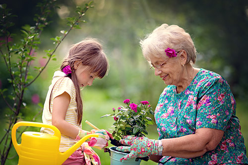 Spring Activity Recommendations for you and Your Senior Loved One - Dawsonville, GA